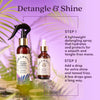 Detangle & Shine Duo