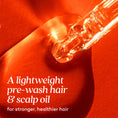 Dynamic Pre Wash Hair Oil Photo Concept Dynamic Pre Wash Hair Oil Photo Concept