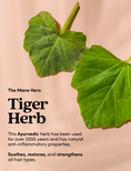 Two fresh green tiger herb leaves on a warm beige background with text reading 'The Mane Hero Tiger Herb' and descriptive copy about Ayurvedic hair benefits.