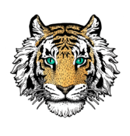 Tiger Tribe 