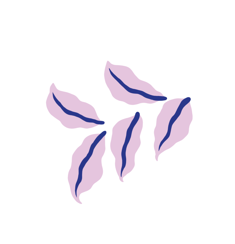Flower Image 3